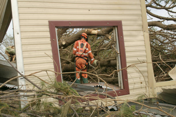 Best Emergency Tree Removal  in USA